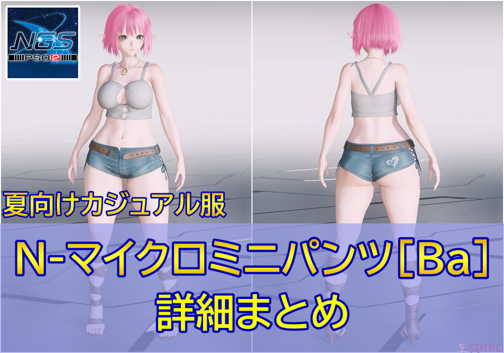 pso2 コレクション wiki コスチューム 女性 パンツ