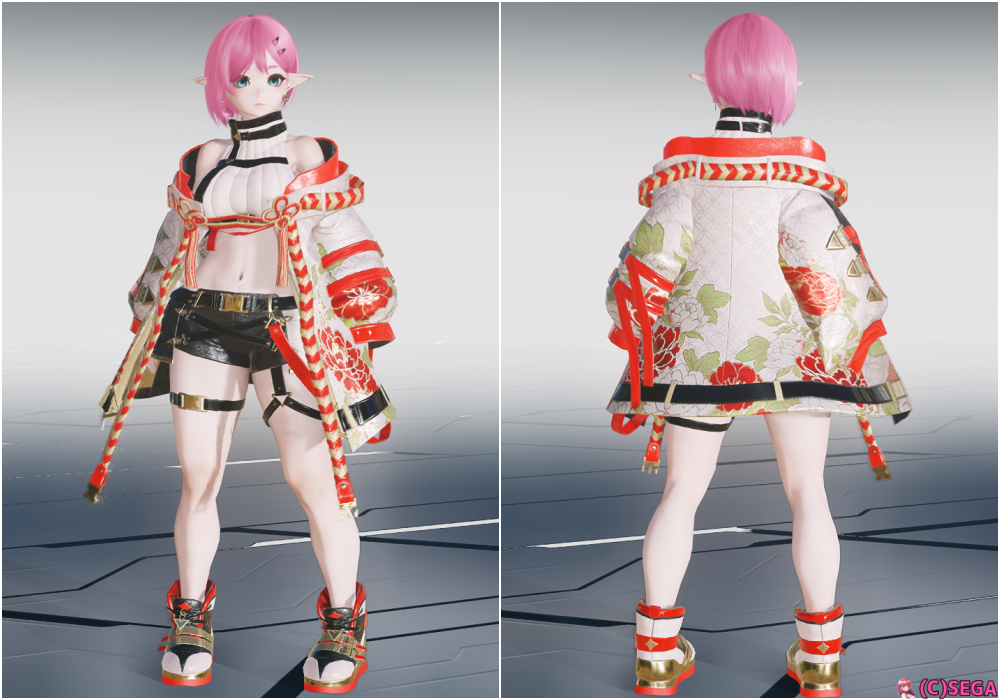 pso2 服 染色