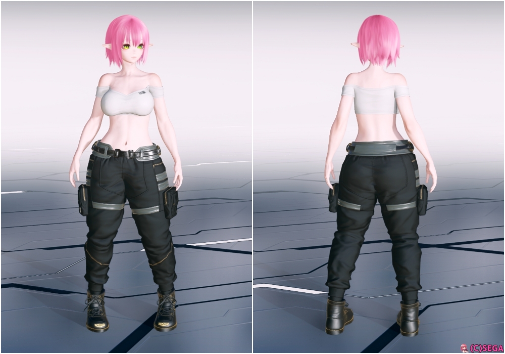 PSO2NGS】ヴォニチッテT2[Ba]の詳細まとめ【コンバット服】 - ま