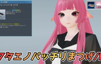 【PSO2NGS】フタエノパッチリまつげ/Bの見た目・詳細