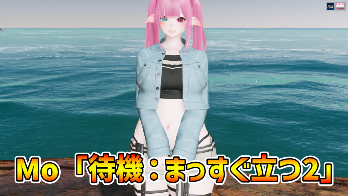 【PSO2NGS】Mo「待機：まっすぐ立つ2」の見た目・詳細