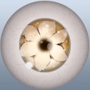 フラワーペタルアイ/B