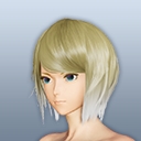 ヴォニチッテヘアー/B