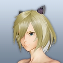 ホルシード水着ヘアー