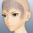 ドラゴンスケールメイク