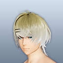 カーディンオーバーヘアー